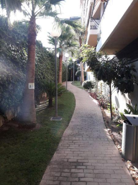 Mi Casa Es Tu Casa Gandia Apartment Exterior foto